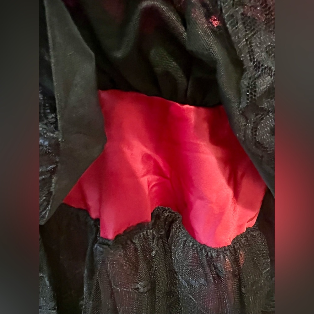 NWT Dolls Kill Widow When Night Comes Mini dress Satin Bodice Tiered Mini Lace - Picture 10 of 14